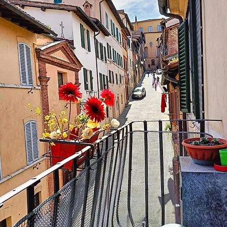 La Campanina-Nel Cuore Di Siena E Della Contrada Exteriér fotografie