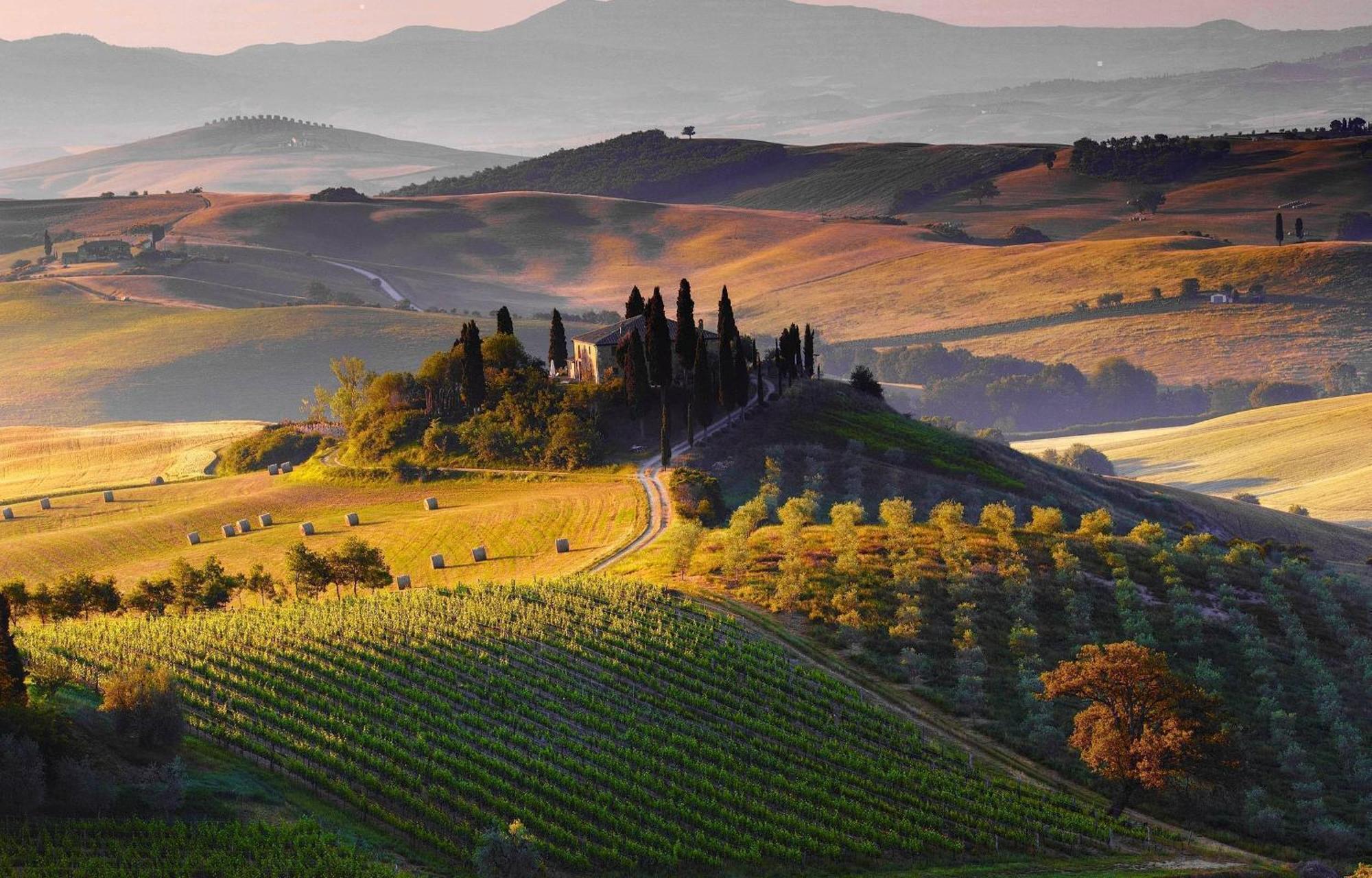 La Campanina-Nel Cuore Di Siena E Della Contrada Exteriér fotografie